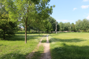Parco dell'Infinito pre-intervento 3