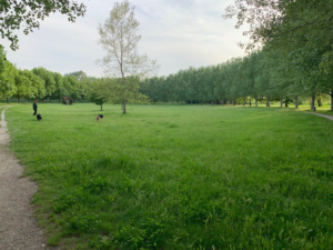 Parco dell'Infinito pre-intervento 2