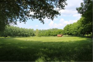 Parco dell'Infinito pre-intervento 1