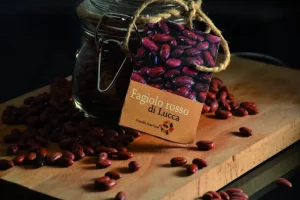 fagiolo rosso di lucca