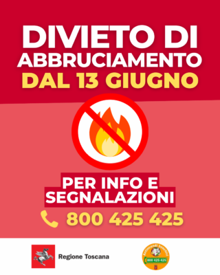 Divieto di abbruciamento - Info e segnalazioni 800425425