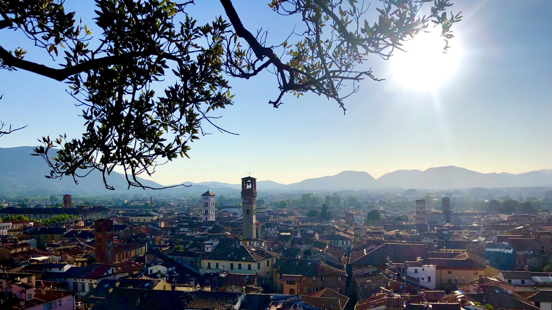 panorama da Torre Guinigi dei tetti della città di Lucca al tramonto con torre delle Ore e i campanili delle chiese. In lontananza le colline e il Monte Pisano