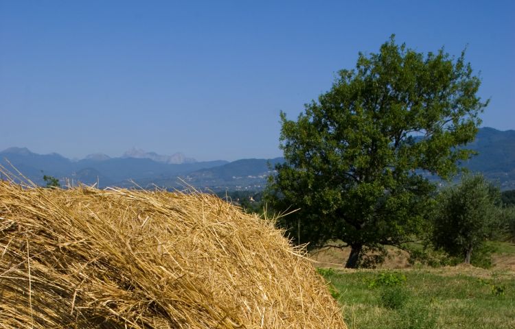 I colori dell’estate a Lucca