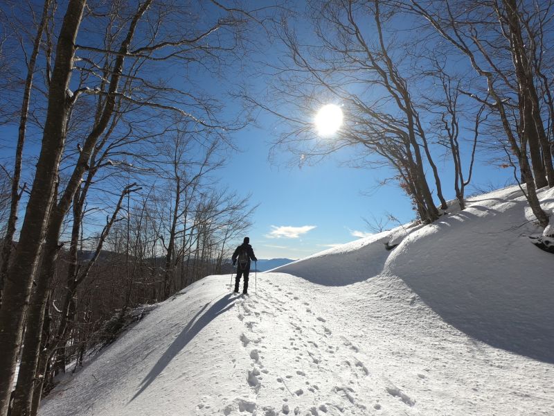 COLORI E PAESAGGI D’INVERNO