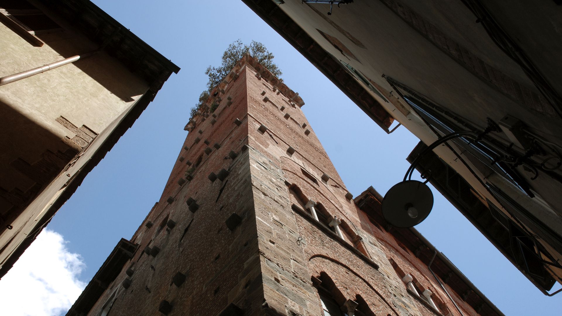 scorcio di Torre Guinigi dal basso tra le case