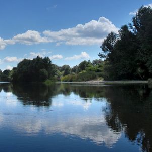 Panorama del fiume Serchio che scorre in mezzo a una rigogliosa vegetazione. Nuvole bianche si riflettono sull'acqua calma.