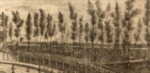 disegno d'ell'archivio storico raffigurante una porzione dell'anfiteatro settecentesco vicino alle Mura di Lucca, dall'interno. Sui viali transitano alcune carrozze. Sulle rampe crescono dei pioppi.