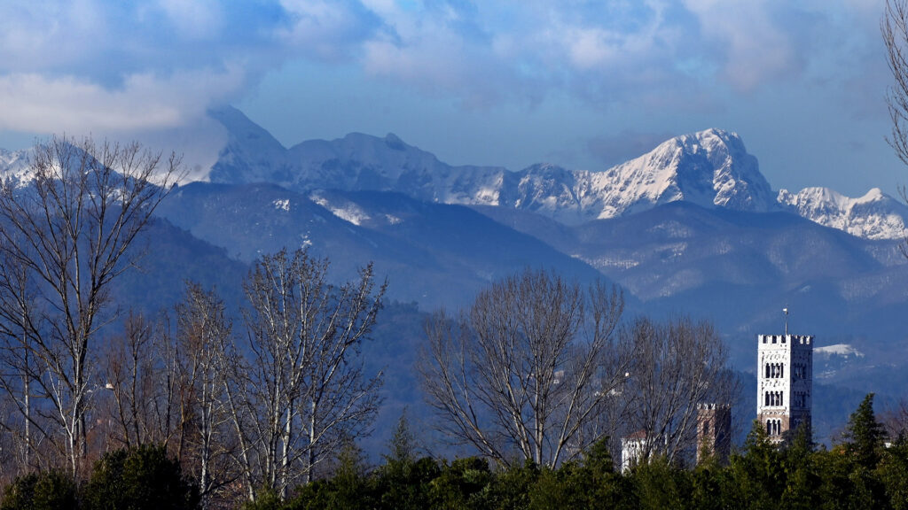 sequenza delle chiome spoglie degli alberi delel Mura di Lucca, i campanili del centro storico e le Alpi Apuane innevate