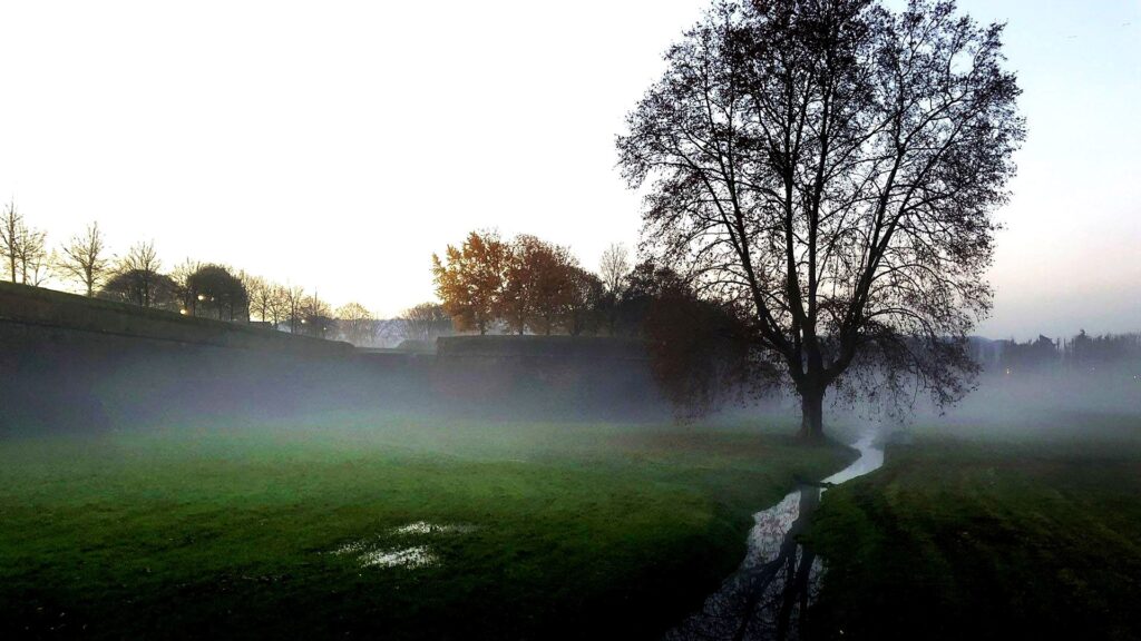 le Mura di Lucca nella nebbia di un mattino d'autunno. IN primo piano un platano accanto al fosso che attraversa gli spalti delle Mura