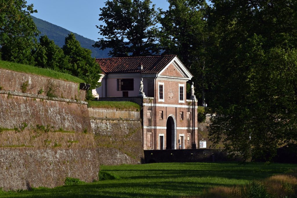 Porta San Donato delle Mura di Lucca dietro la chioma di un platano. La porta ha un ingresso centrale, nella parte superiore due grandi finestre ai cui lati ci sono le statue di San Paolino e San Donato e termina con un timpano