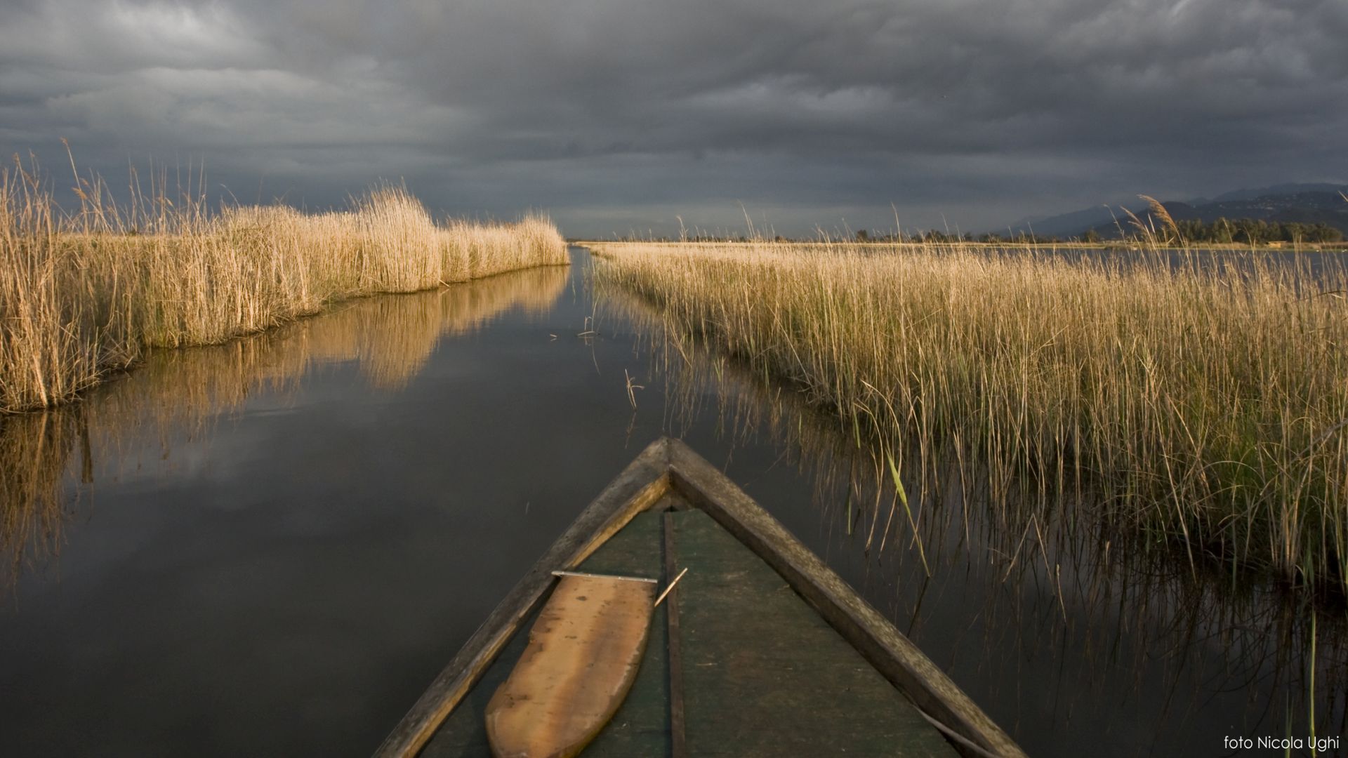 il lago di Massaciuccoli nie colori dell'autunno. UNa baarca in primo piano sta percorrendo un canale fiancheggiato dai falaschi
