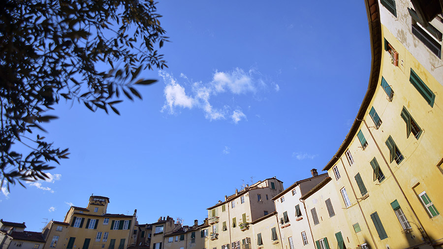 il profilo frastagliato delle case di piazza dell'Anfiteatro si staglia contro un cielo azzurro. Sulla sinistra un piccolo ramo di olivo.