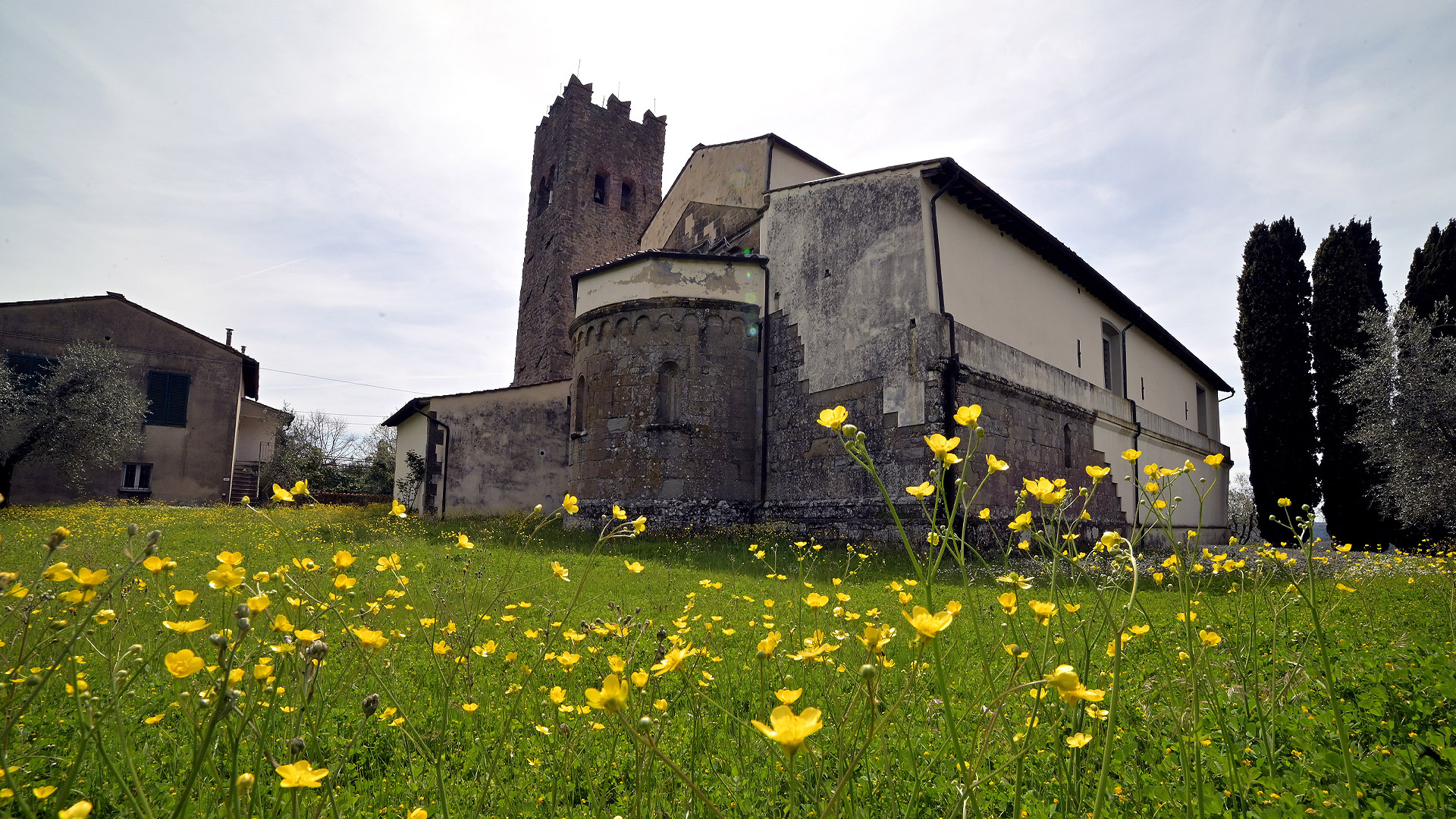 l'abisde della chiesa di Santo Stefano con il campanile merlato, in primavera. A lato della chiesa ci sono tre cipressi, di fronte un campo di rododendri gialli
