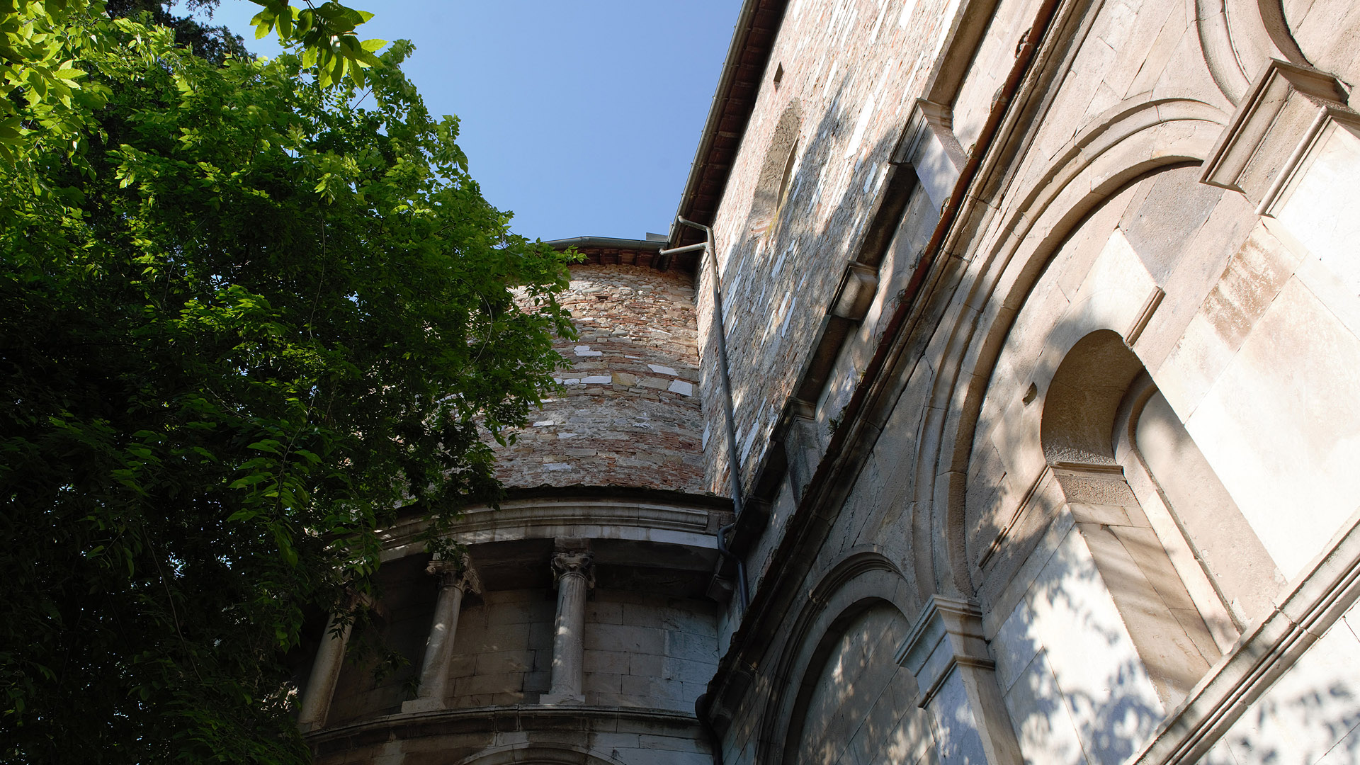 Particolare dell'abside della chiesa di Santa Maria Bianca con una fronda di glicine. Nella parte bassa c'è una loggetta di colonne e nella parte alta muratura in pietra