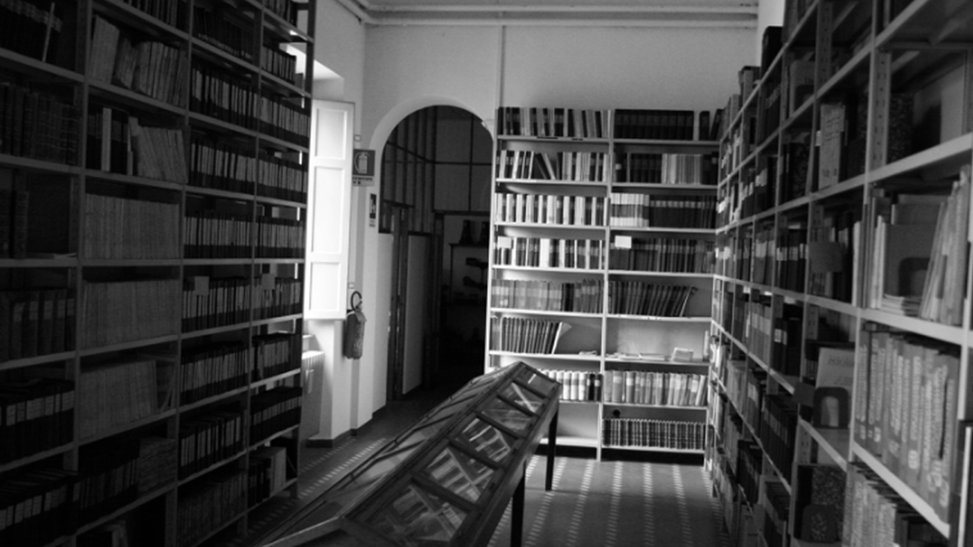 Biblioteca della FOndazione Mario Tobino all'ospedale di Maggiano. Una sala stretta con una finestra e pareti ccoperte di scaffali pieni di libri.
