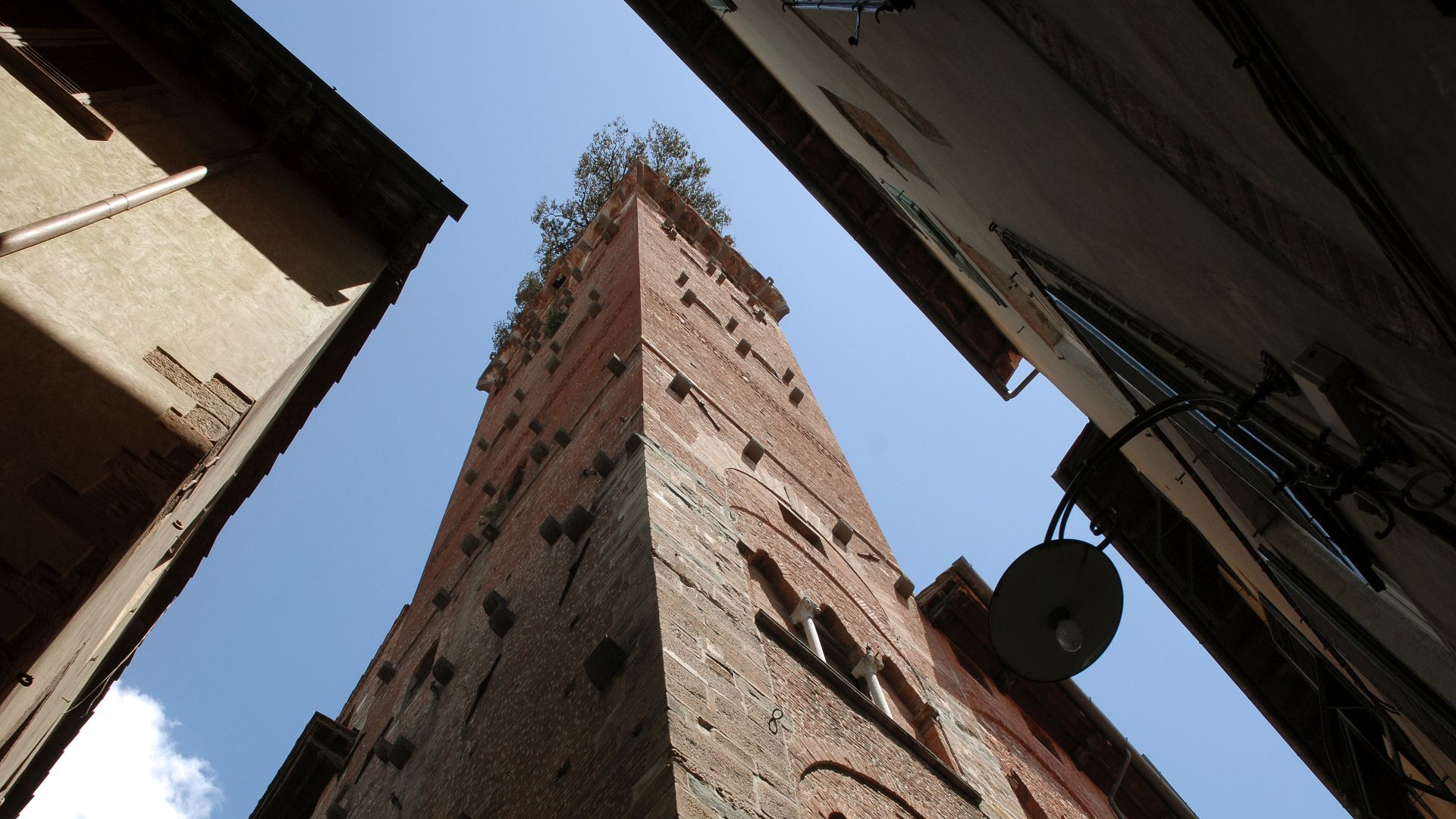 Torre Guinigi dal basso tra le case