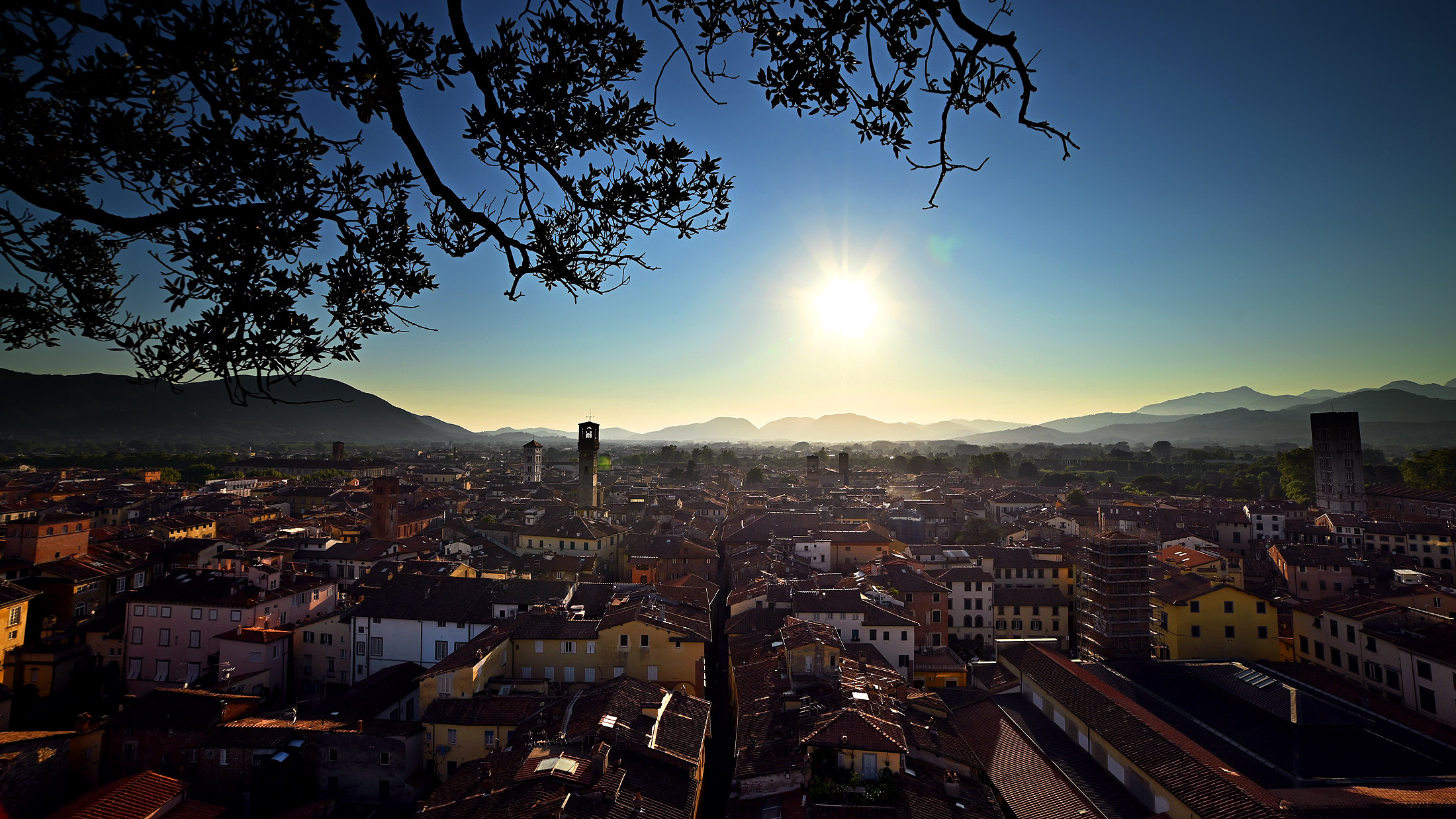 panoramica dei tetti della città di Lucca al tramonto da Torre Guinigi con torre delle Ore e i campanili delle chiese. In lontananza le colline e il MOnte Pisano