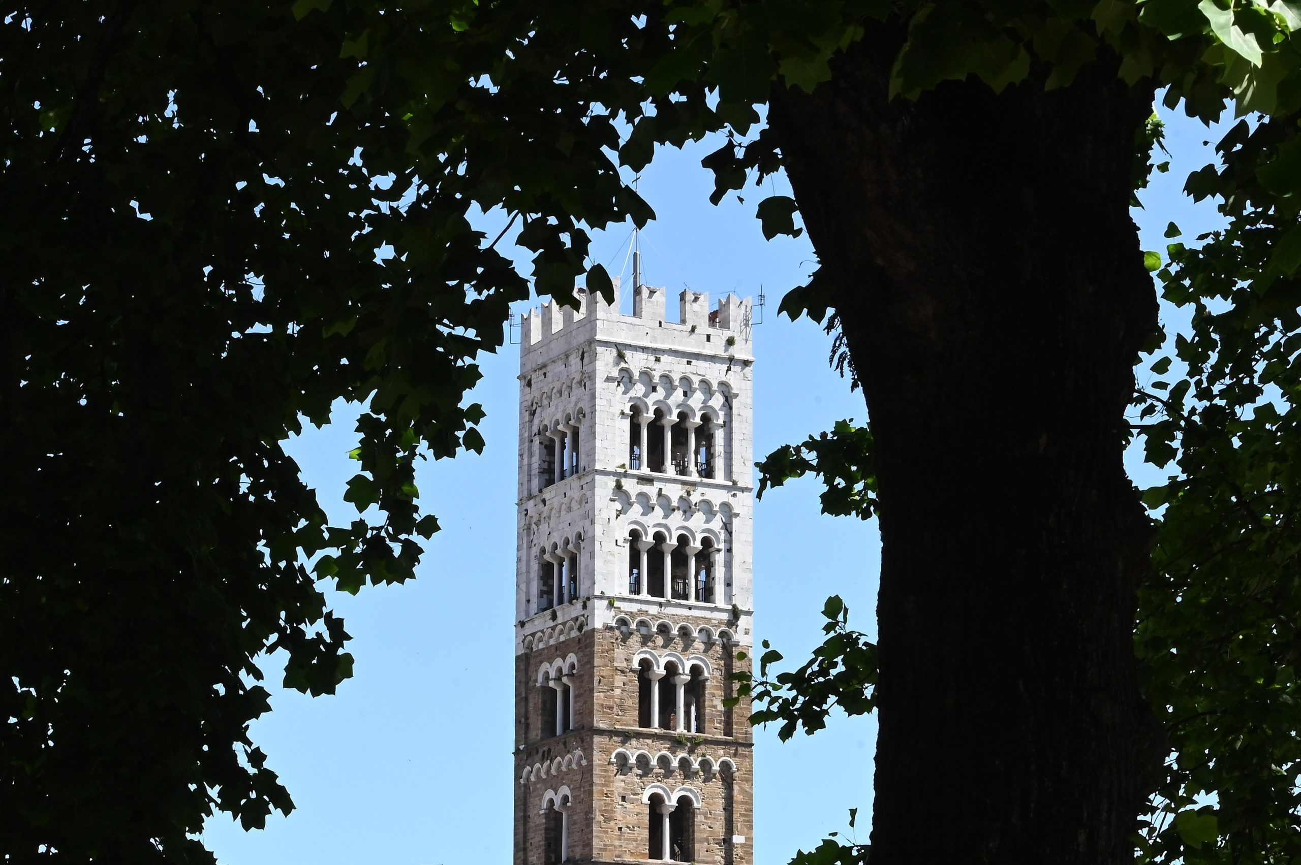 la parte più alta del campanile della cattedrale tra le fronde di un albero. Ogni piano ha finestre a polifora e la sommità è coronata da merli a coda di rondine.