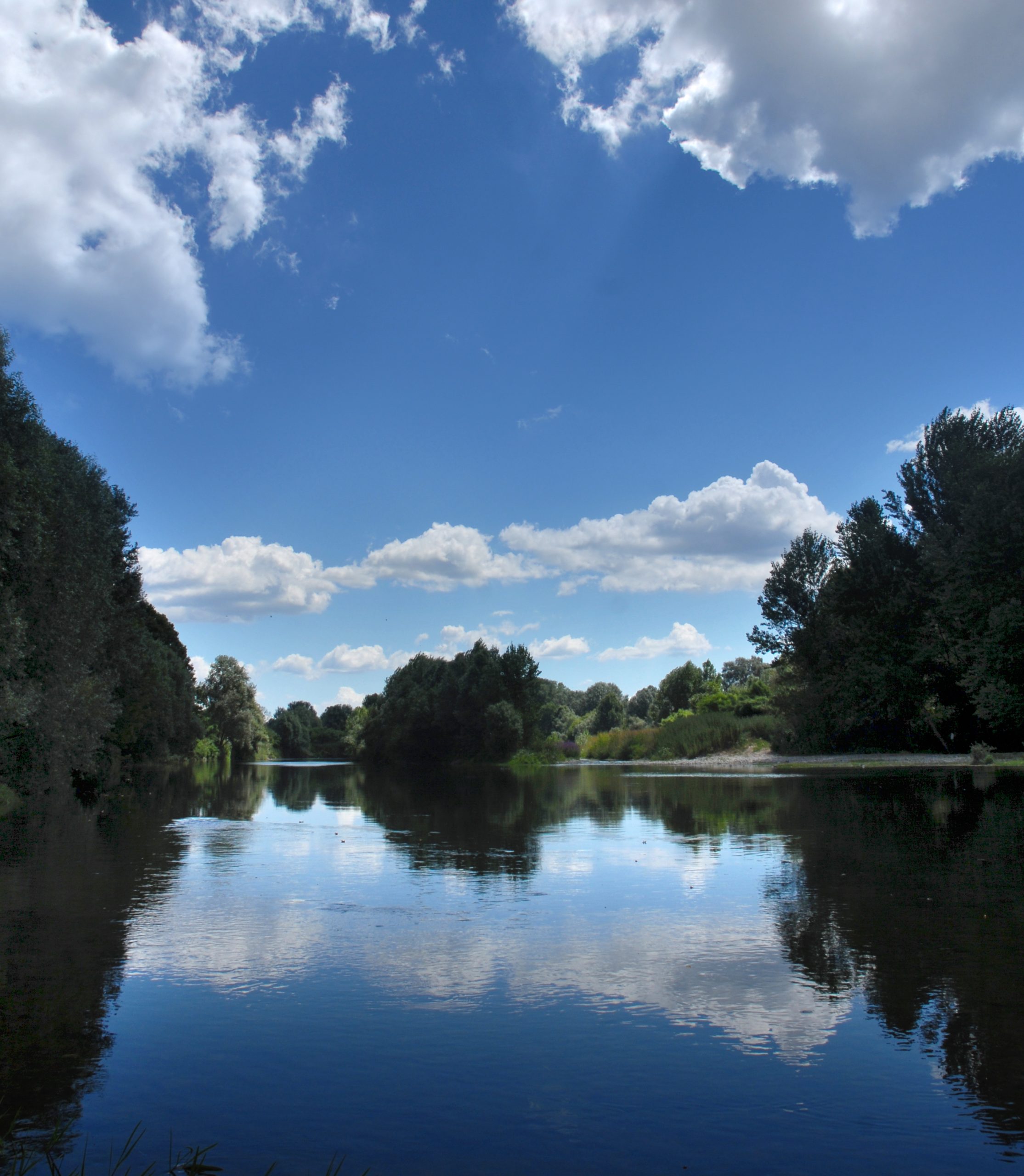 Panorama del fiume Serchio. nuvole bianche si riflettono sull'acqua calma. Intorno c'è vegetazione primaverile