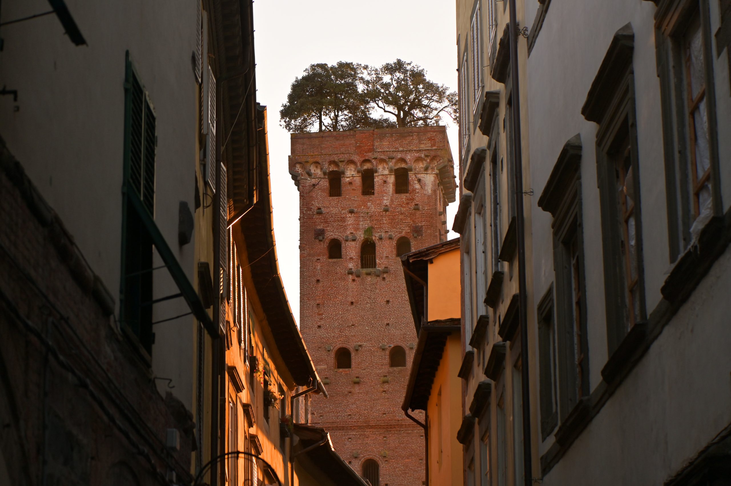 La silohuette di Torre Guinigi appare in fondo a una strada fiancheggiata da alti edifici con tante finestre