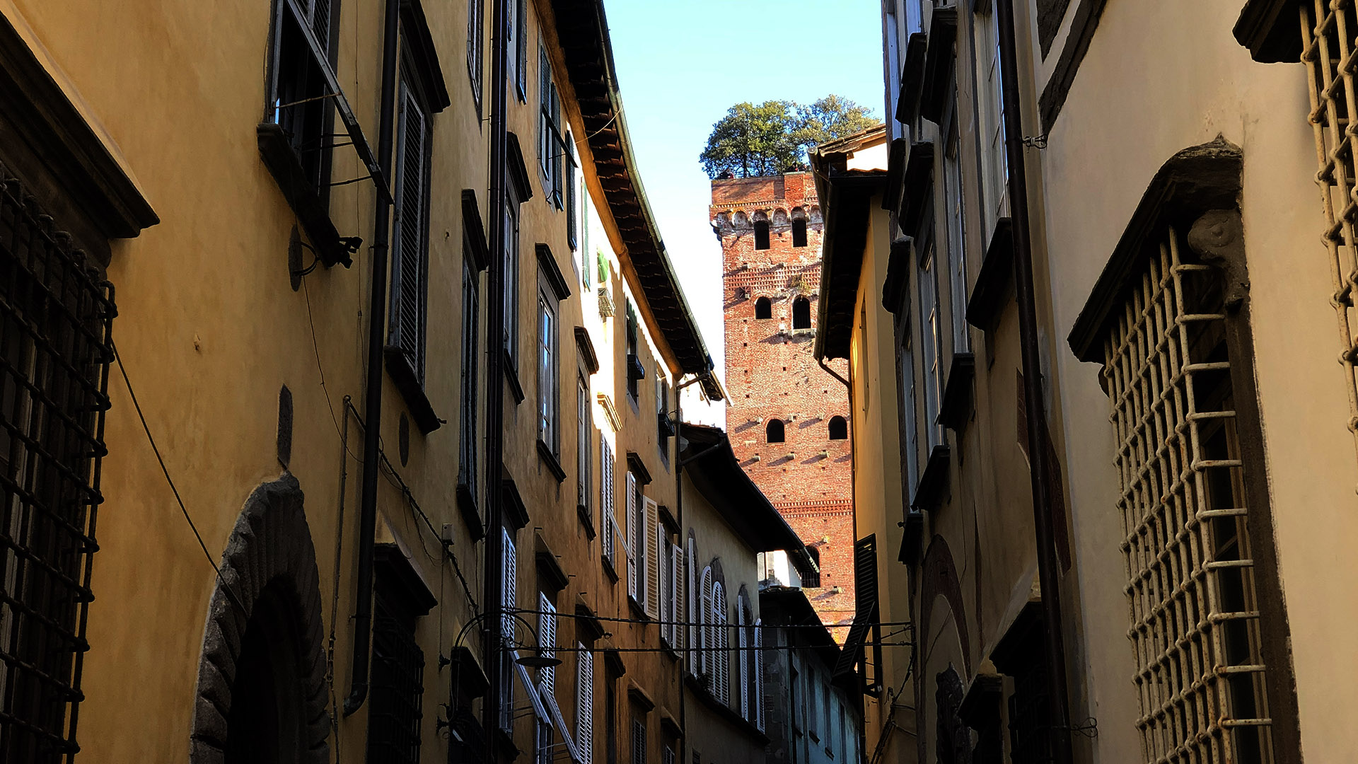 Una strada stretta con edifici alti. Sul fondo c'è la torre Guinigi con alberi sulla cima