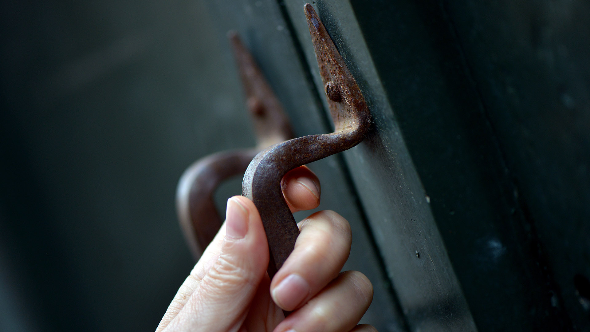 dettaglio di una mano che impugna la maniglia in ferro battuto di un palazzo storico