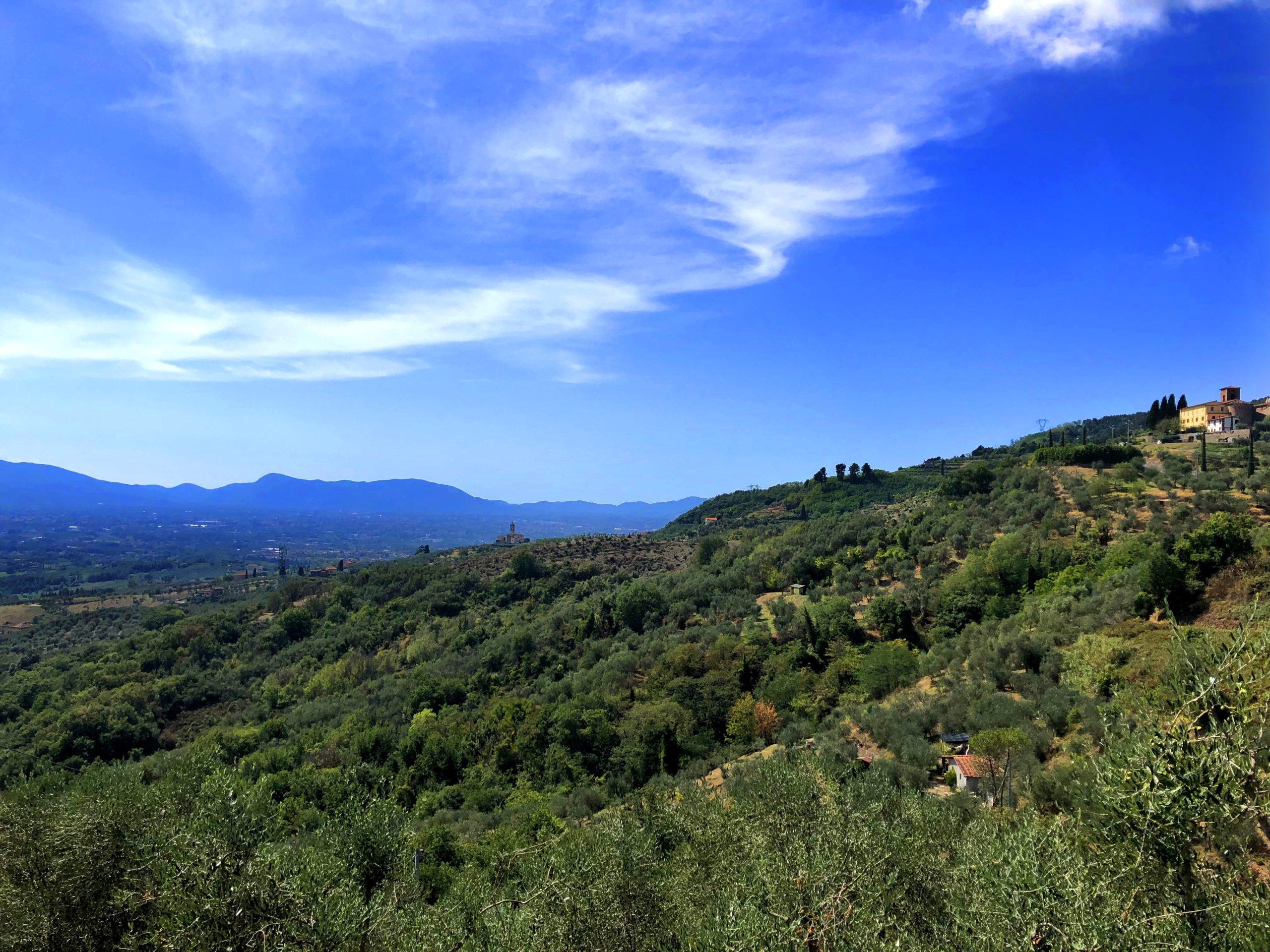 Panorama delle colline lucchesi da nord, con terrazze coltivate con olivi. Sullo sfondo il rilievo del Monte Pisano. Cielo con nuvole