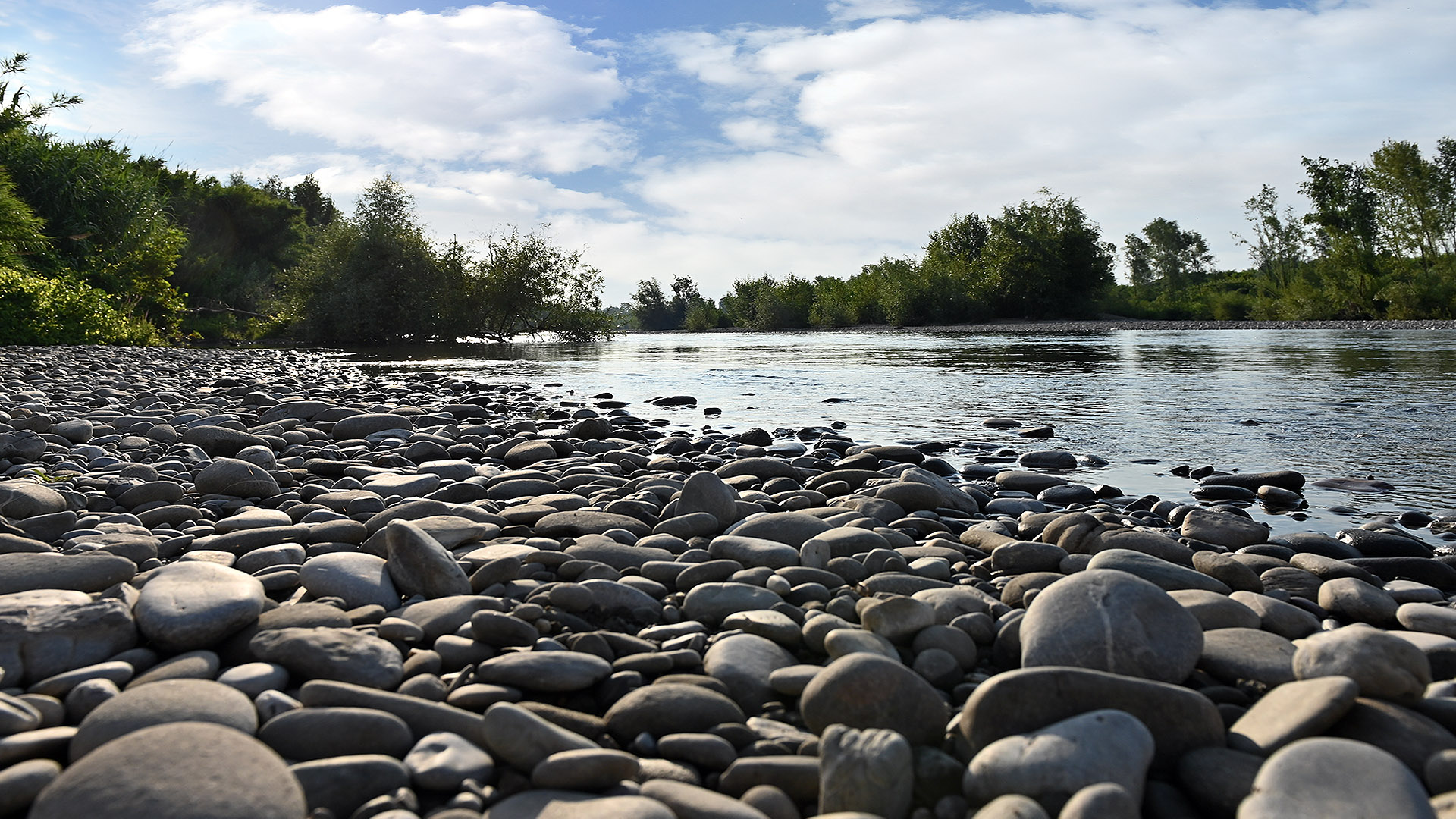 Una spiaggetta sassosa sul fiume Serchio che scorre tranquillo tra la vegetazione e sotto un cielo azzurro con nuvole estive.