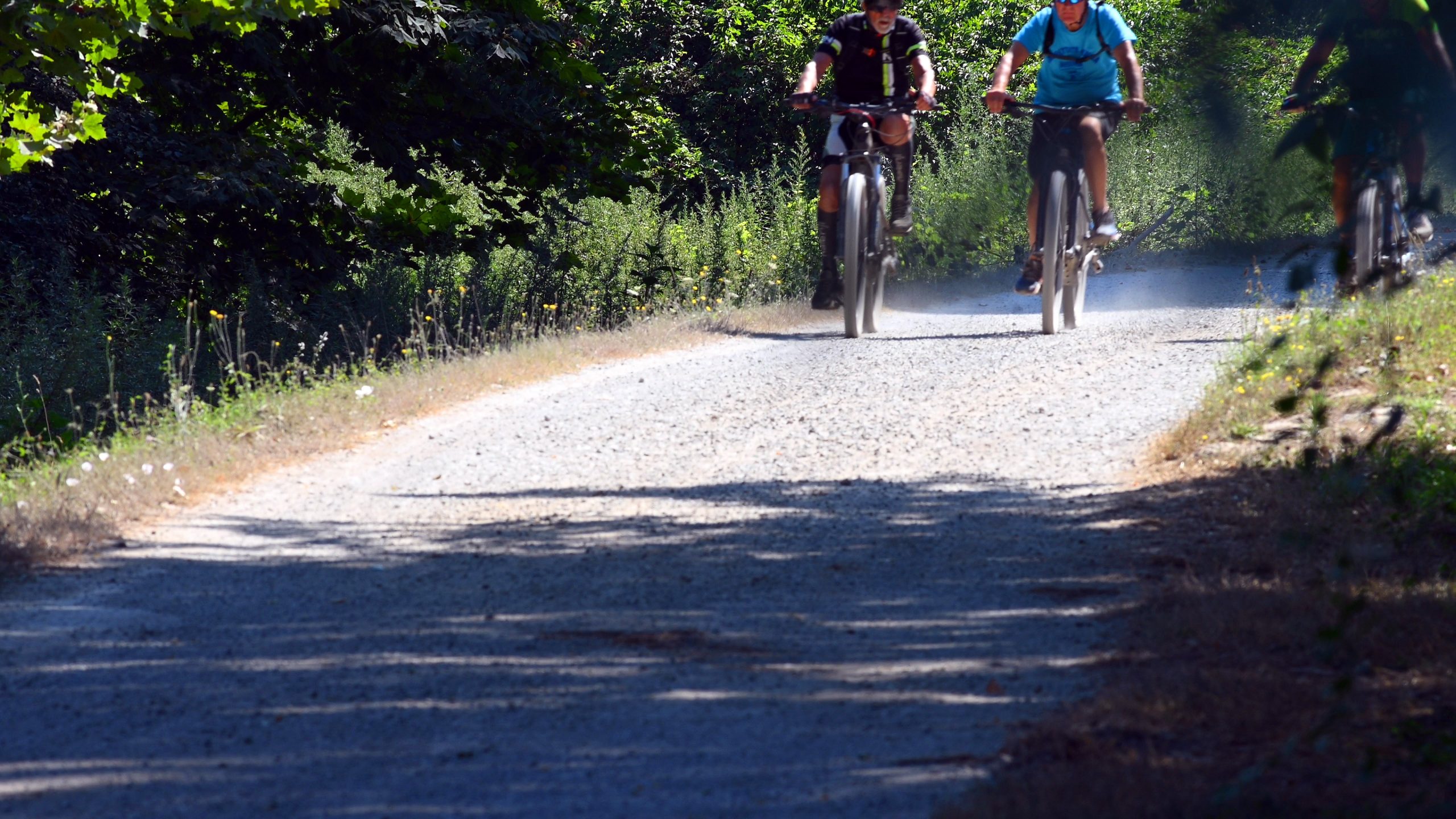 Due uomini vanno in bicicletta su una stradina sterrata che attraversa una rigogliosa vegetazione estiva.