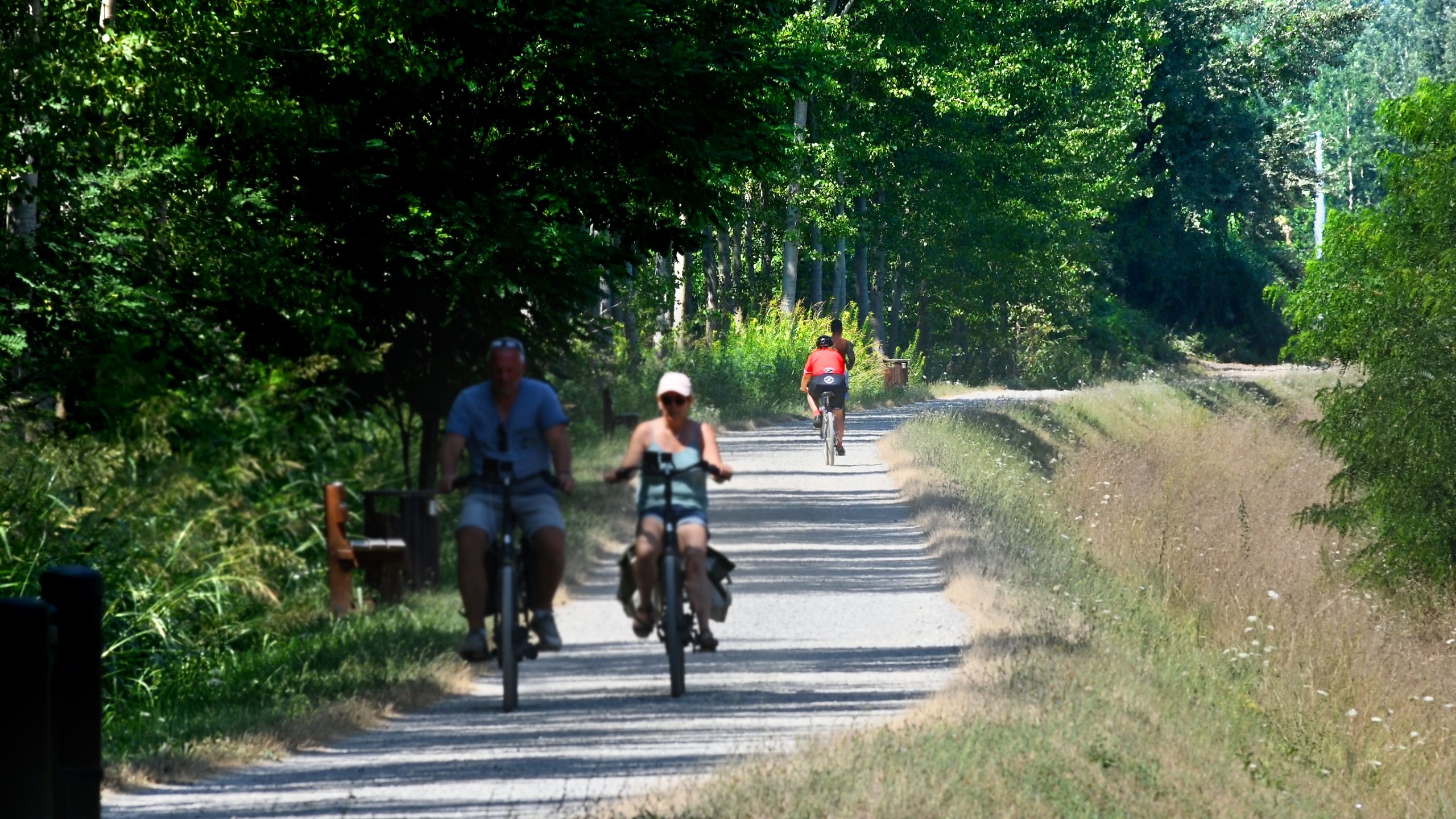 Alcune persone percorrono la ciclopedonale Puccini lungo il fiume, all'ombra dei pioppi e di una rigogliosa vegetazione estiva e