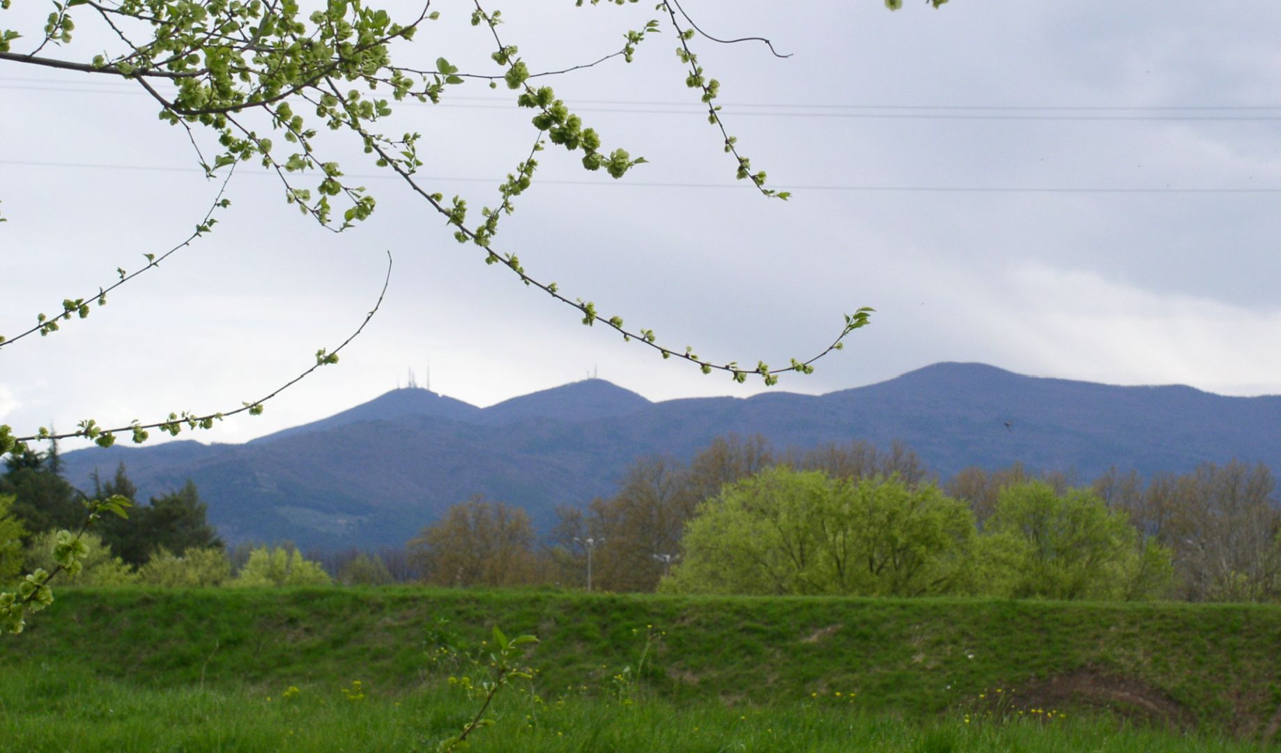 Il profilo del Monte Pisano visto dalle Mura di Lucca in primavera. In primo piano un ramo di olmo con le prime foglie