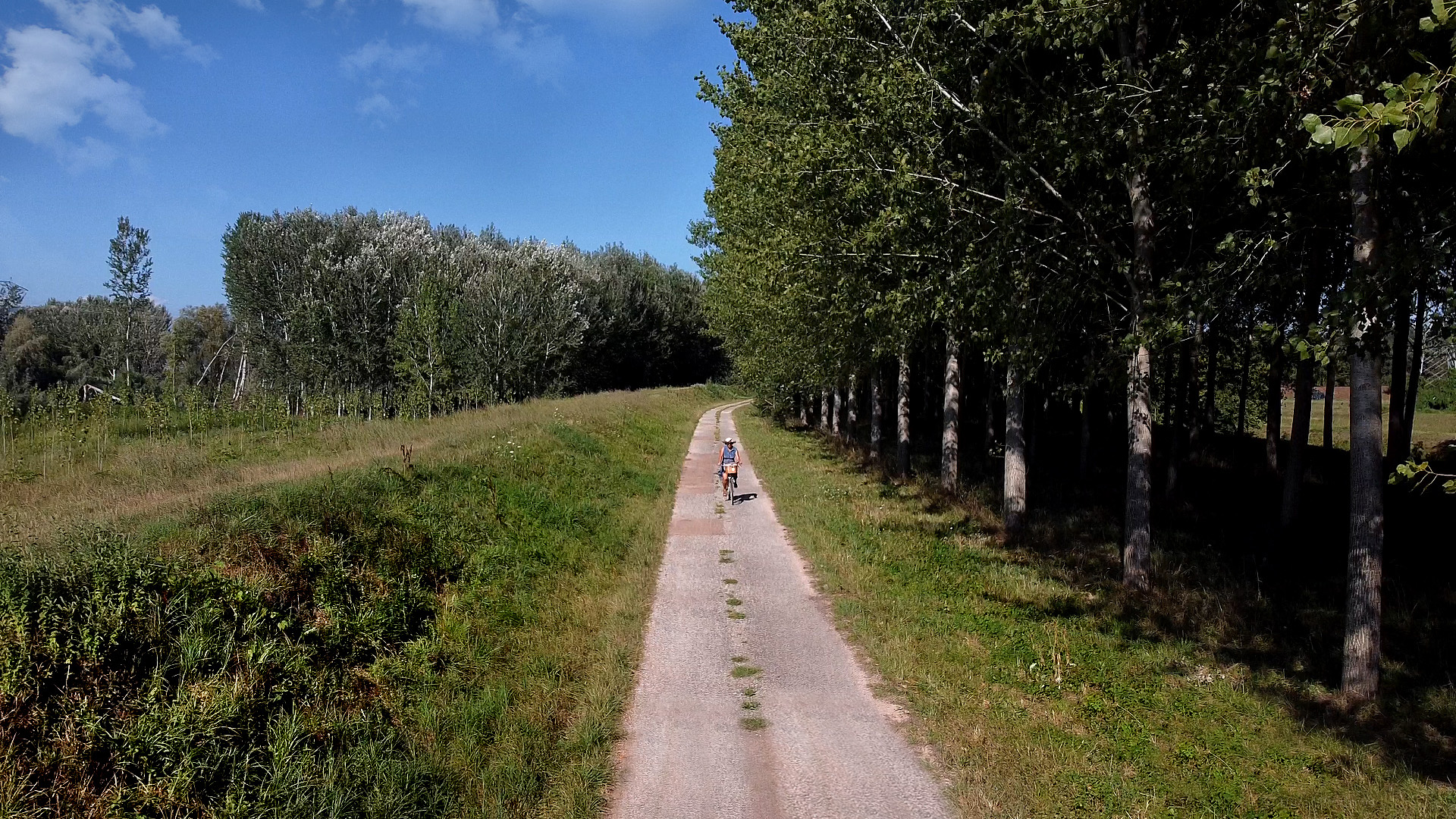 Una donna va in bicicletta su una strada di campagna lungo il fiume. Sulla sinistra c'è un boschetto di pioppi, sulla destra l'argine del fiume e in lontananza un boschetto di pioppi