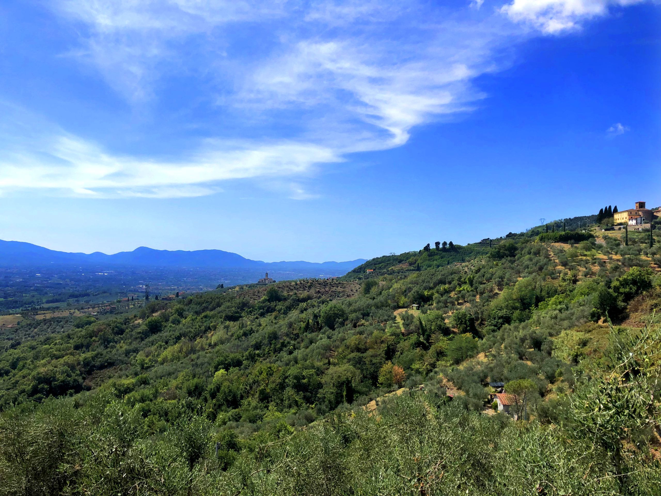 panorama delle colline lucchesi da Valgiano con piccoli borghi, uliveti e bosco