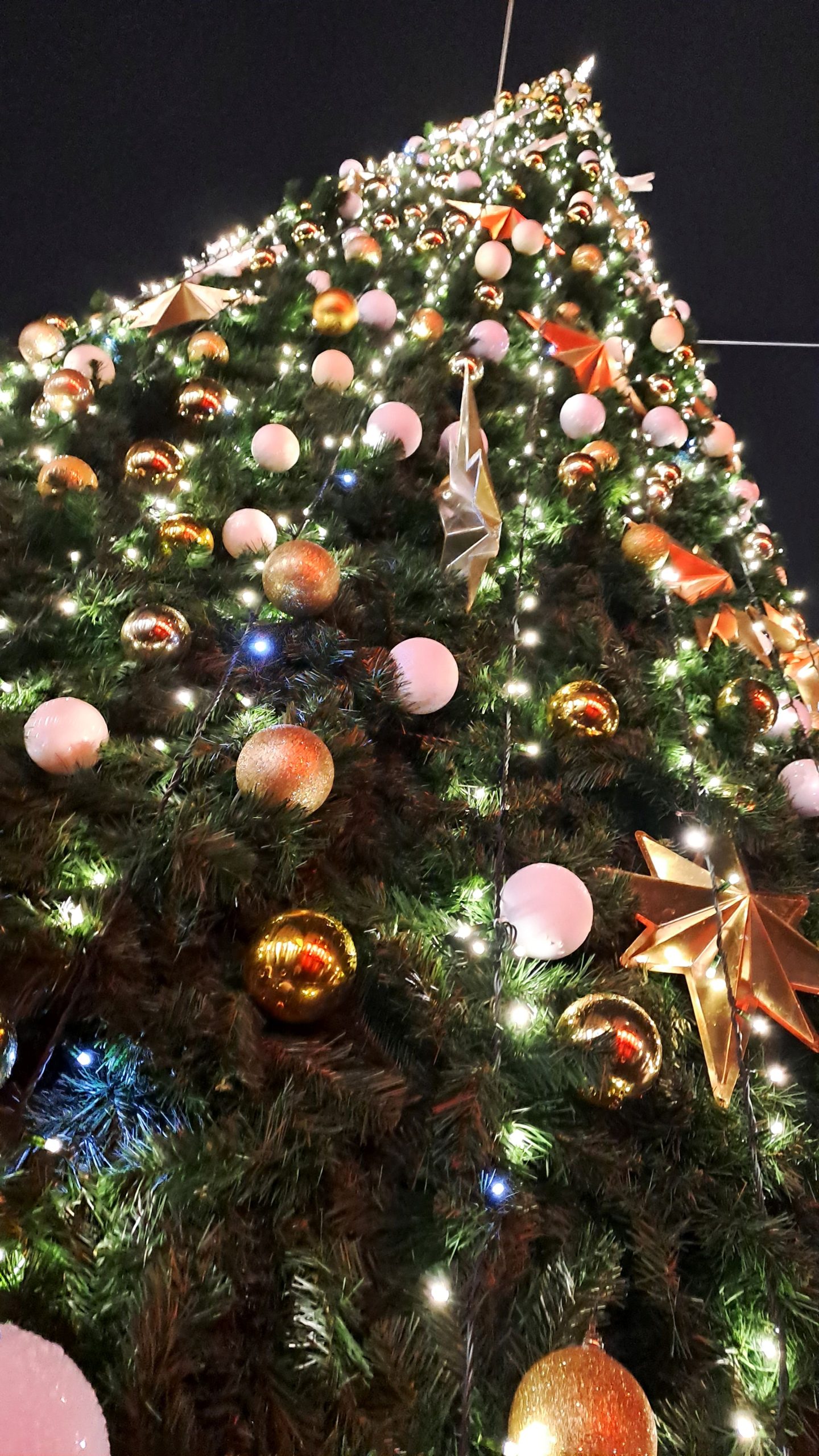 scorcio dell'albero di Natale in piazza San Michele