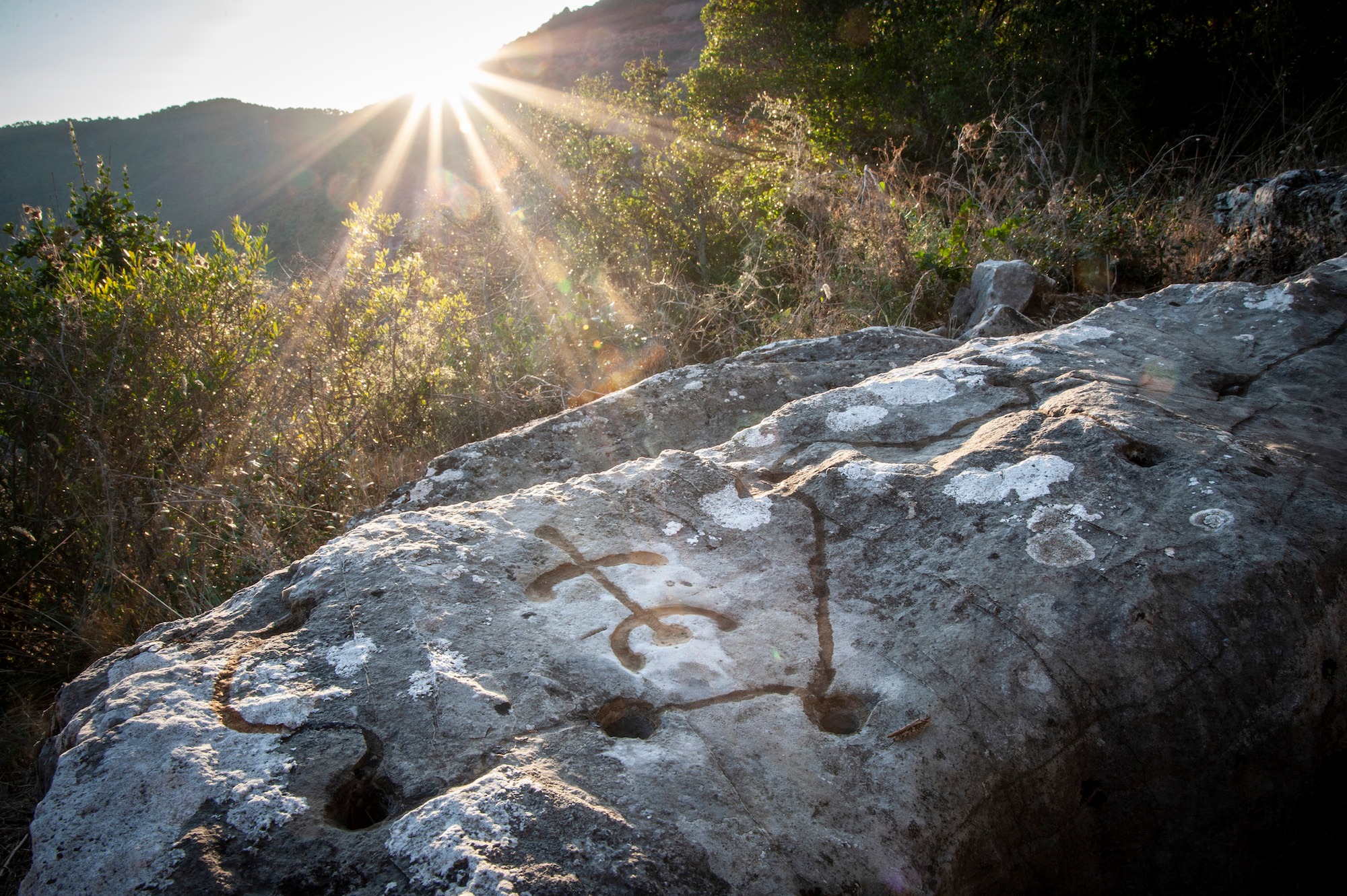incisioni ruperstri antiche su una pietra tra la vegetazione.