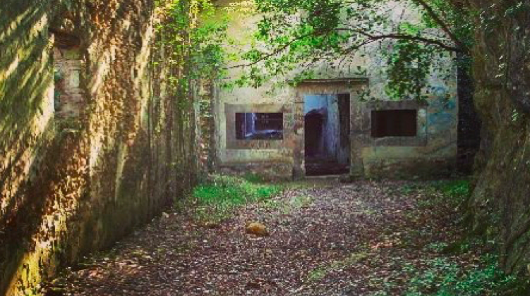 i resti dell'l'eremo di Rupecava, tra i boschi del monte pisano