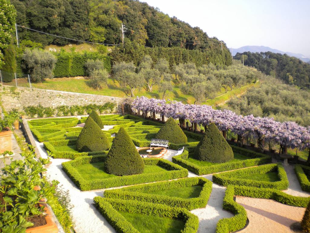 primo piano di un giardino all'italiana con vialetti e un tunnel di glicine., su una collina con uliveti