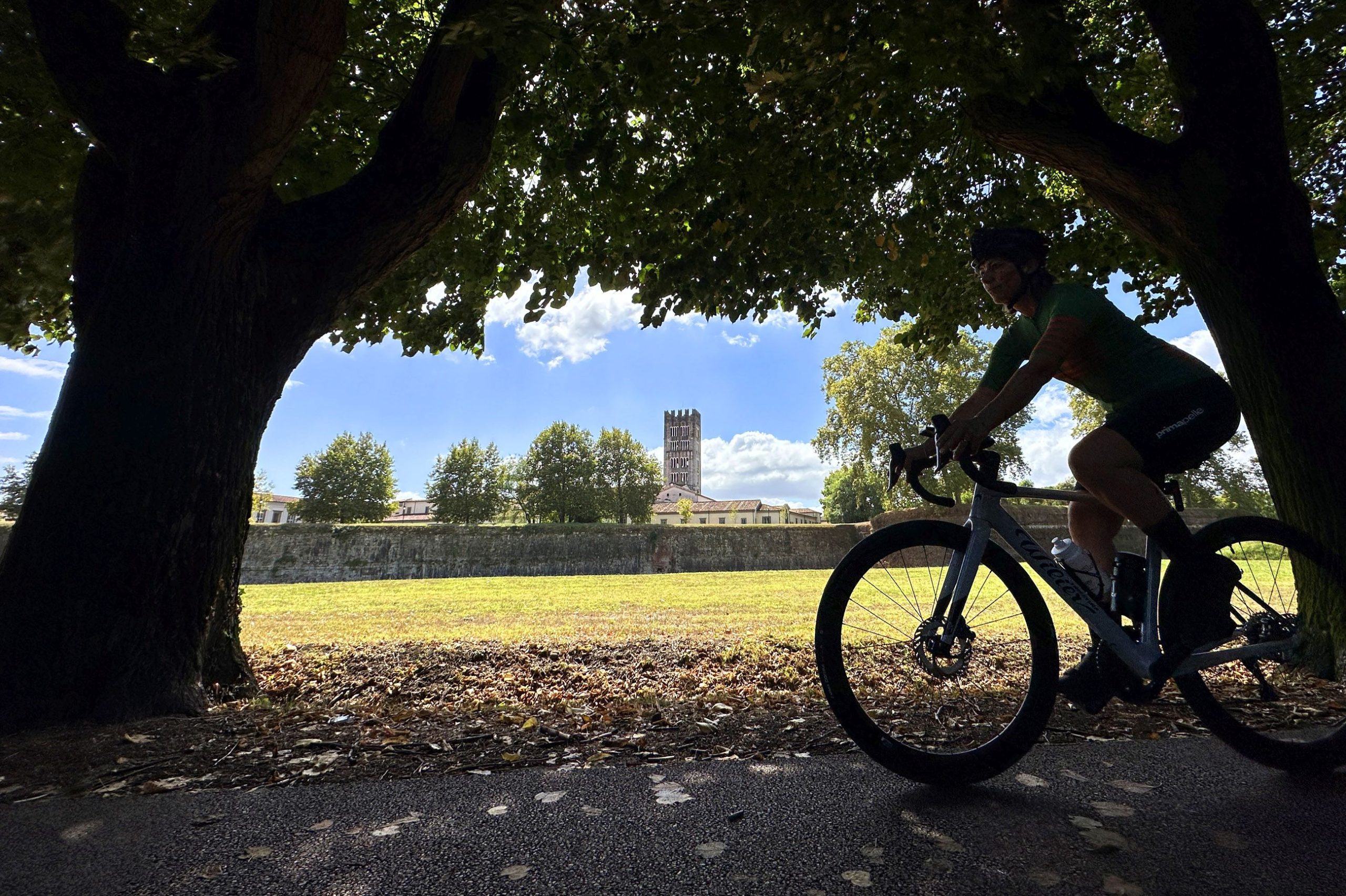 il profilo di una ragazza in bicicletta che pedala lungo la strada intorno alle Mura di Lucca all'ombra degli alberi