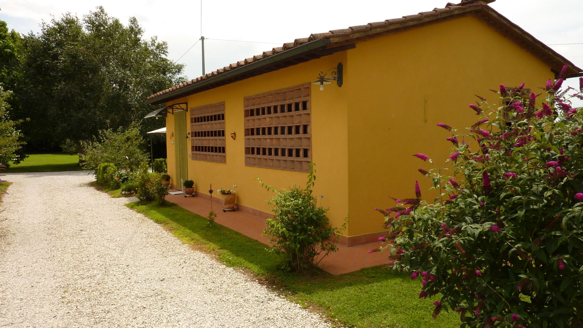 IL NIDO E LE RONDINI