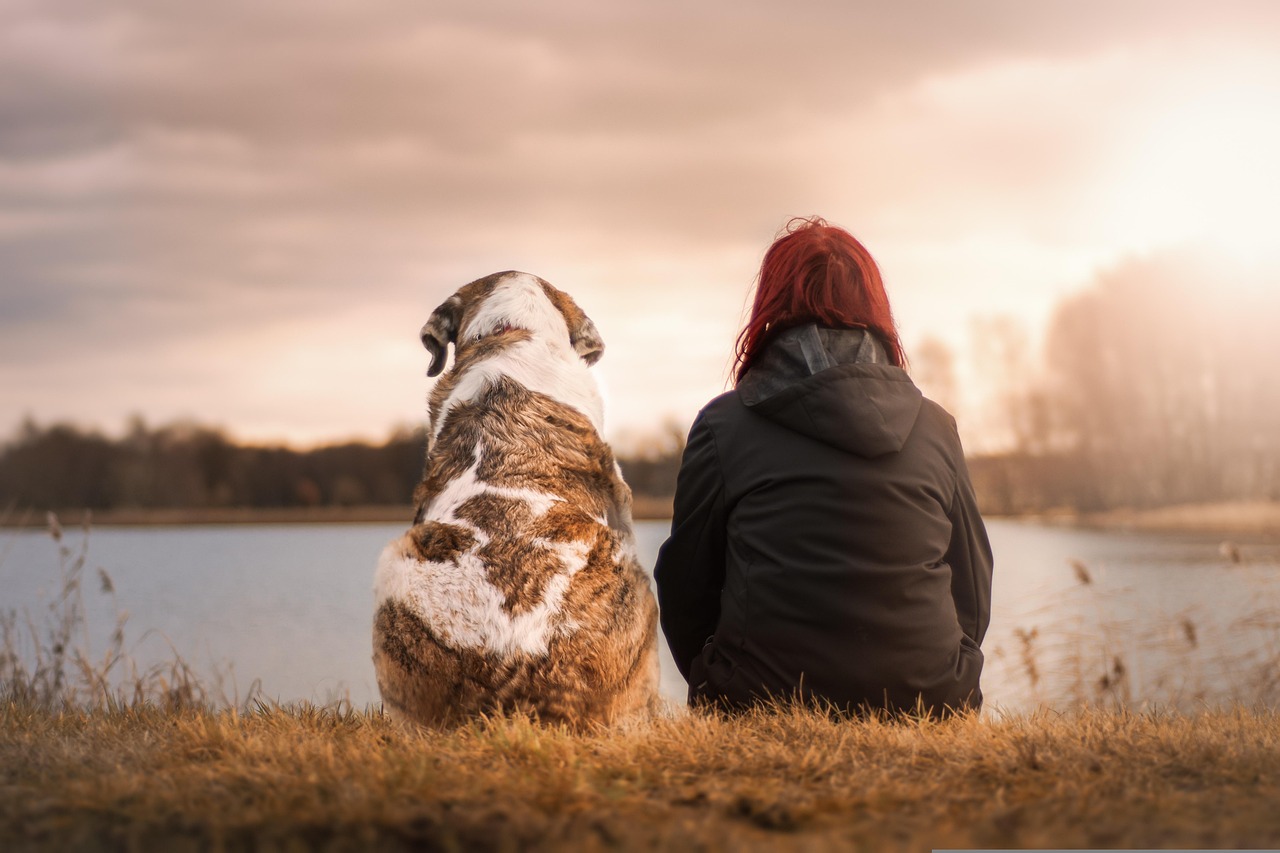 una ragazza ed un cane di grossa taglia, di spalle, sono seduti su bordo di un lago in una giornata di nebbia. Lei indossa un capotto con cappuccio. Il cane è grande quanto la ragazza.