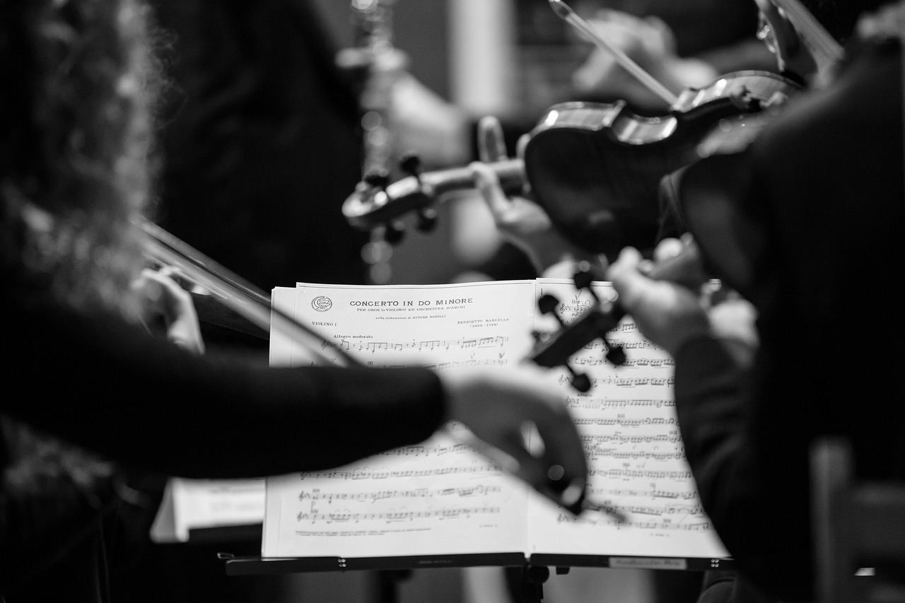 primo piano di due musicisti di spalle, che suonano il violino. Oltre le figure c'è uno spartito