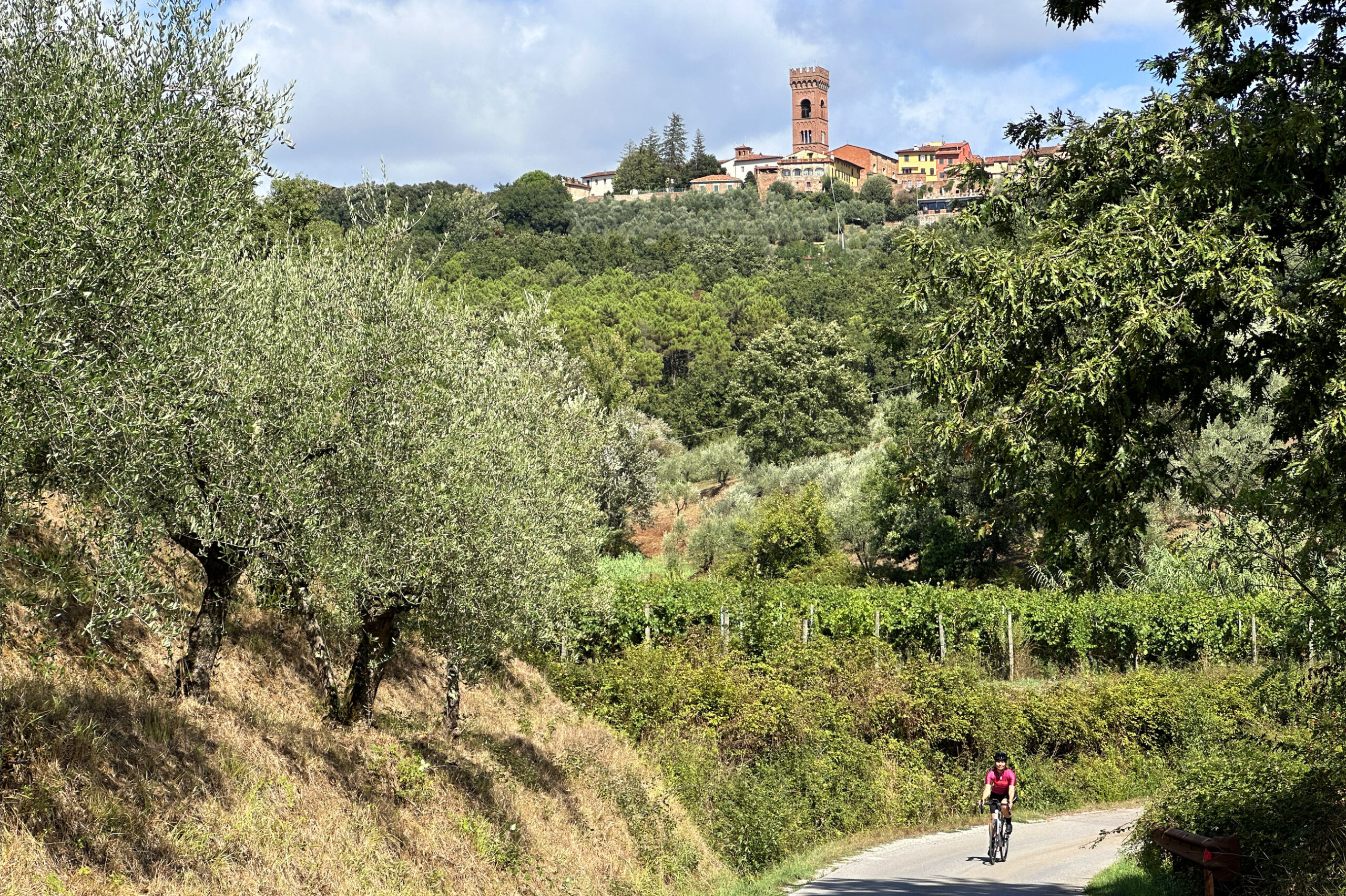 ciclista tra colline di vigneti e uliveti a Montecarlo