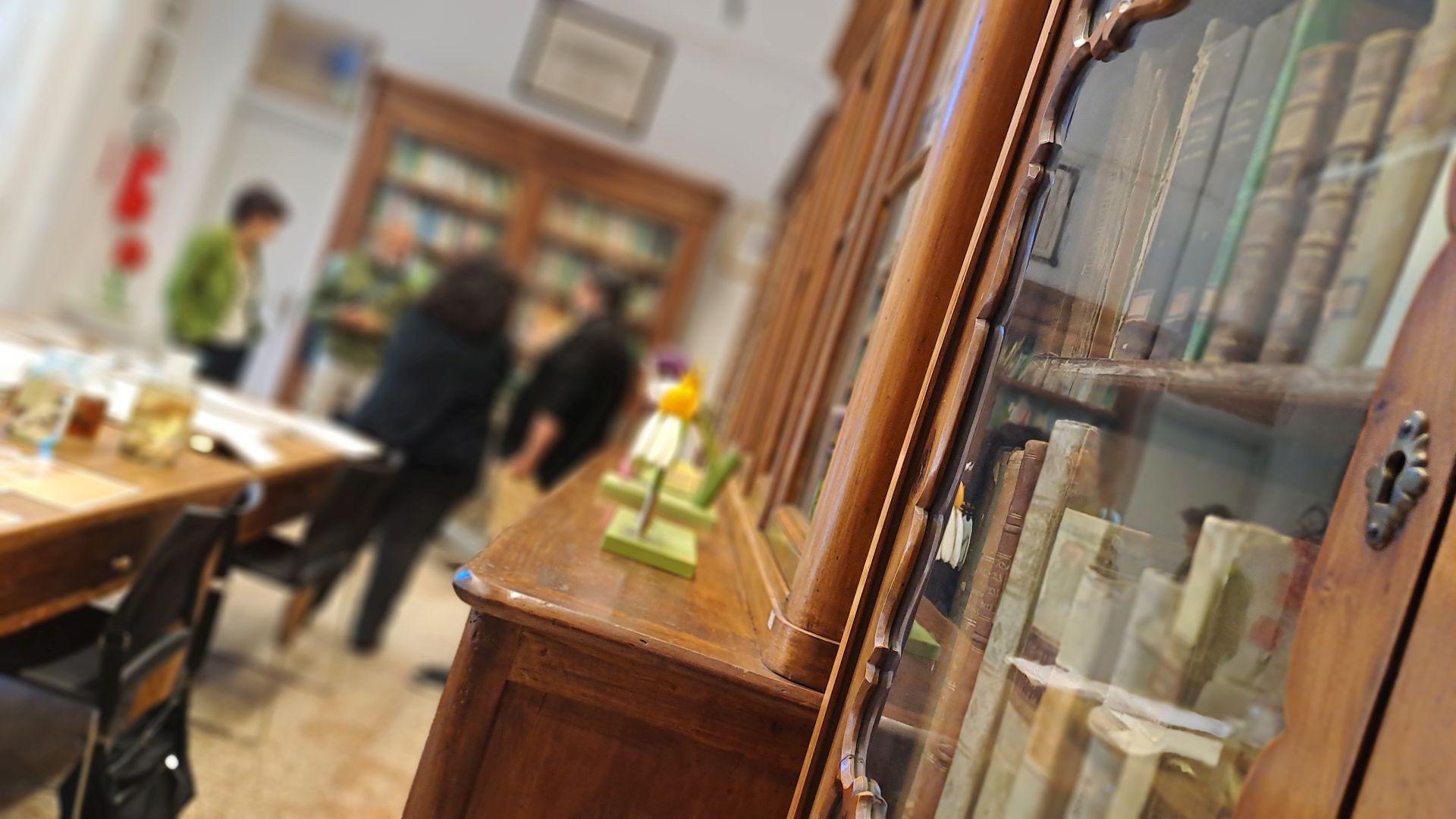 Biblioteca del Museo Cesare Bicchi. sulla destra degli armadicon ante a vtro piene di libri. sullo sfondo alcune persone guardano una teca