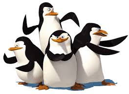 Pinguini FREDDO