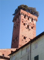 Lucca, Torre Guinigi