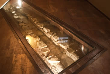 Domus Romana "Casa del Fanciullo sul Delfino"
