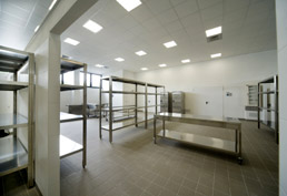 CUPP INTERNO 1