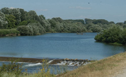 Fiume Serchio - particolare