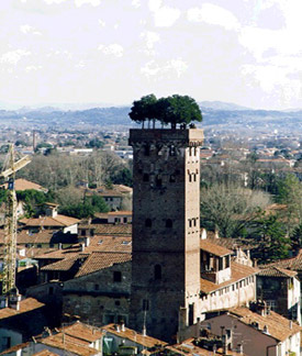 Torre Guinigi
