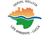 Logo Serial Wellfir